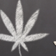 Illustration for article titled A Canadian University Is Offering a Marijuana Business Course